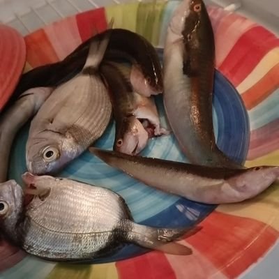 PABLOBLO18's profile picture. filósofo contemporáneo