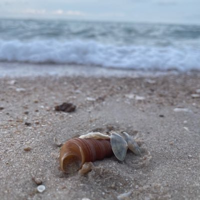 graphisches's profile picture. 