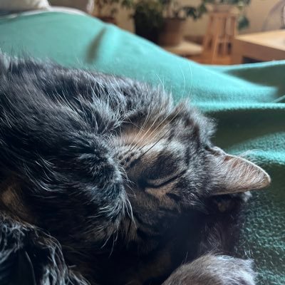 susuleika's profile picture. Haizeak eraman egin zaitzake, edo bueltan ekarri 🍃