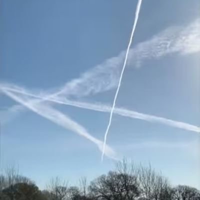 GovtClownShow's profile picture. Independent. I follow back. Former Dem. Explorer-63 Countries 🌎 World Politics #MAHA #Trump2024