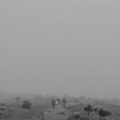 millsgrayhmnz's profile picture. 