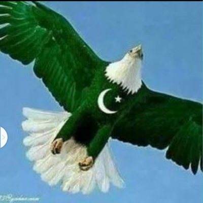Najeebkhan91302's profile picture. Pure letter
