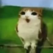 bader733469's profile picture. 