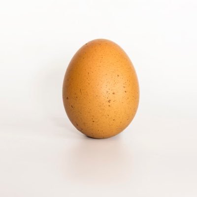 egg_bangers's profile picture. world record egg