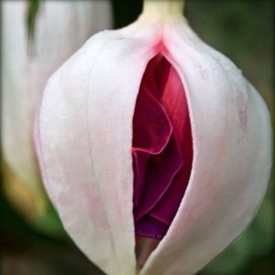 dara_not_idara's profile picture. Introverted. #oboughmaster.