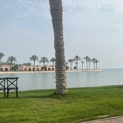 ha4al_'s profile picture. 