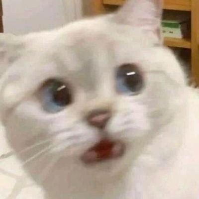 NDOMKB's profile picture. 