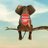 katopaull's profile image