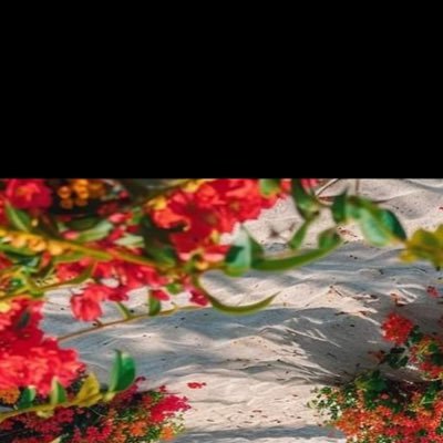 Diontadodiallo's profile picture. 🇫🇷🇸🇳 #JuanBranco2027