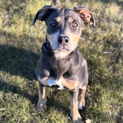 ThiloZoran's profile picture. 