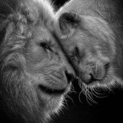 algardiii's profile picture. TIU |