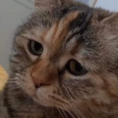 nan_skinfade's profile picture. 