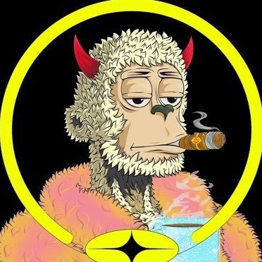 bashtee_1's profile picture. On-chain & data analyst