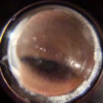 rnlddhll's profile picture. i will not accept a life i do not deserve.