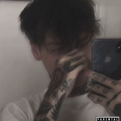 Gi0TheDin0's profile picture. a portrait is not made in the camera but on either side of it.