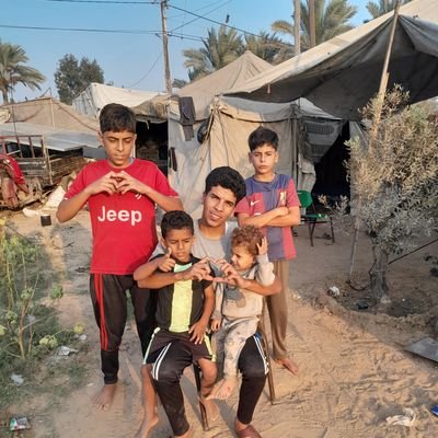 HajinMaha12485's profile picture. Hello my friends, I am Maha. I live in Gaza and I am currently displaced. I hope to return to my beautiful, warm home. I now live in a tent 💔🥺