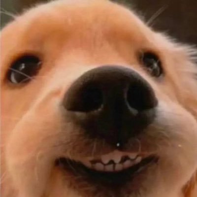 osdc7kn's profile picture. いろんな記録アカウント🧘https://t.co/zYOCyNPQqw