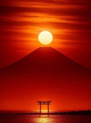 hidekz884's profile picture. 