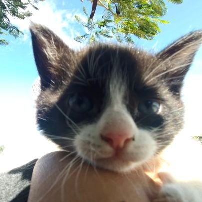 Leonard03218339's profile picture. .