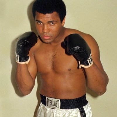 jafarankabut's profile picture. 