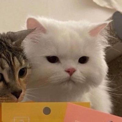 isxyyou_'s profile picture. #4eve ❤️‍🔥/ #Atlas 🌏 / #ต้าห์อู๋ออฟโรด 🐶🐱