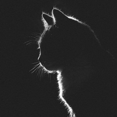 ibts_3's profile picture. Computer science🎓..
Every day is a new opportunity to achieve your goals✨️