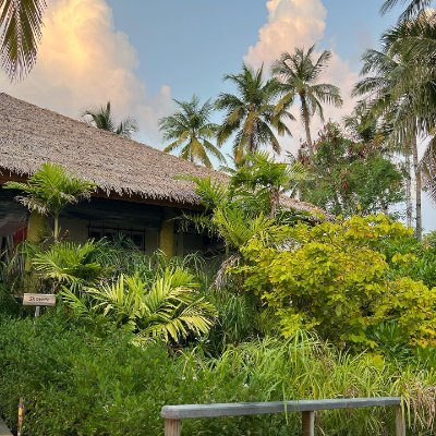 selvam010's profile picture. # MAGA • God • Family. fishing 🐟、 golf ⛳ And hiking, supporting artificial intelligence, keeping up with the times, 🚫 pornography 🚫 sale. 🚫 Not for a romant