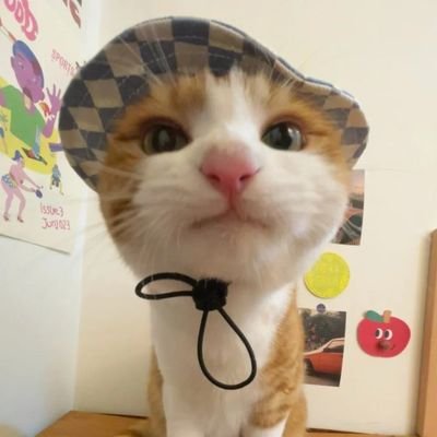 VolhvR1453's profile picture. Либерал, демократ, русский националист