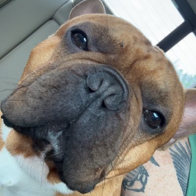 MikeMuzziovdkj's profile picture. 