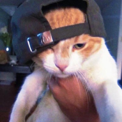 onyourabbi's profile picture. 