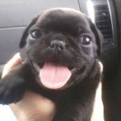 jjommw's profile picture. 안녕하세요강지호입니다