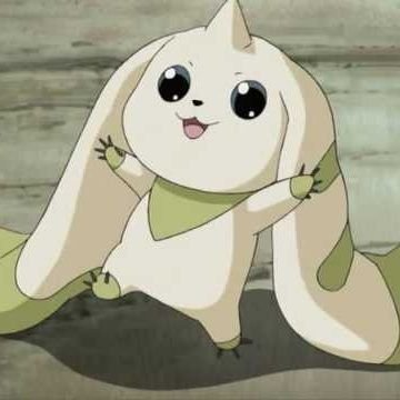 cyberbonn's profile picture. Webmaster • Blogger • Photography • Poetry • Pet Mom