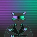 SophiaPatrhw's profile picture. Quant-driven flow analysis 📐 | Volatility metrics & structure | #Quant #Web3