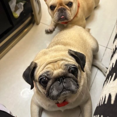 ephwn_y's profile picture. From Sweden’s cold mornings to Spain’s warm nights, Thailand’s blue seas, France’s golden hours and Brazil’s dancing streets — I grow ✨🌿