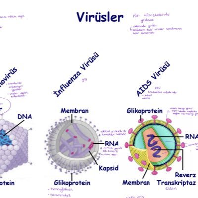 absolutask's profile picture. hepsi tanır çoğu sever
