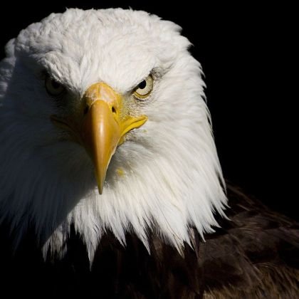 FHerlander54730's profile picture. Acredito que a verdade, mesmo que machucada, terá o tempo como seu maior aliado.
Nem tudo o que publico é pra ser levado a sério. 
Gosto de muita paródia 😆