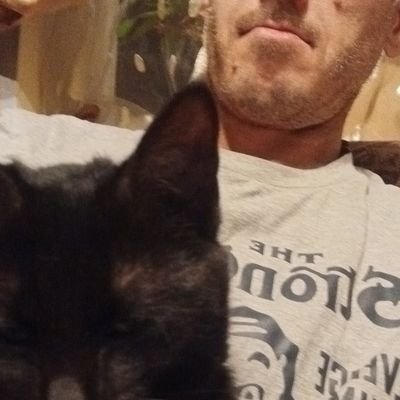 ADemenius's profile picture. 