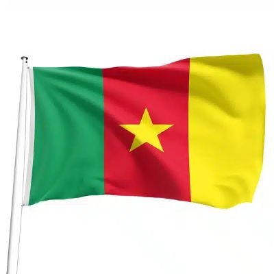 Charles_G_C's profile picture. Ing. Géomètre Topographe 🇨🇲
#MUTD #RMA
«je mesure le monde avec précision...» 👷🏾