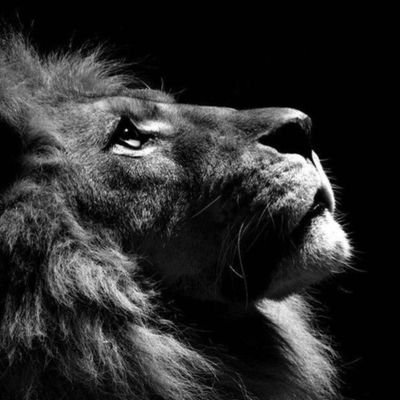 ___FCR7's profile picture. 