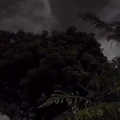 cerenetiks's profile picture. Sports Science📚