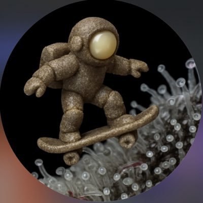 realdrygoberto's profile picture. Drygoberto, o primeiro e único!