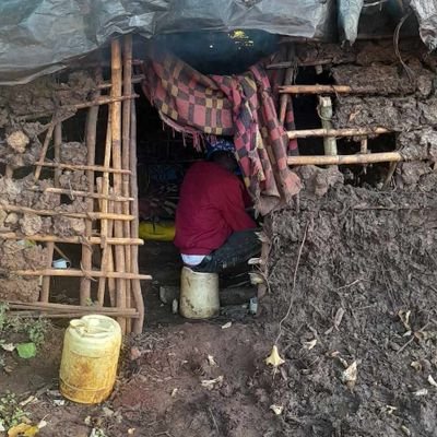 stephenronoh21's profile picture. My creator