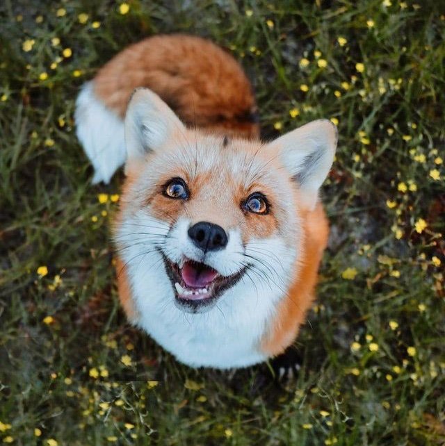 AlexandraLee318's profile picture. 