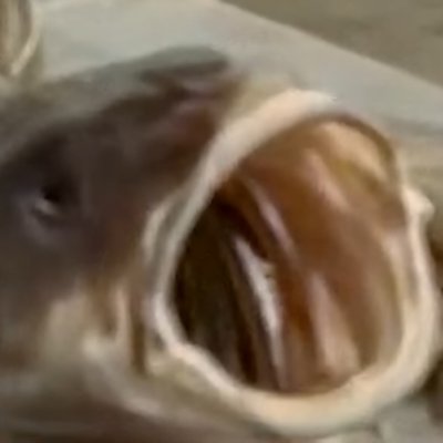 asbatura88's profile picture. 