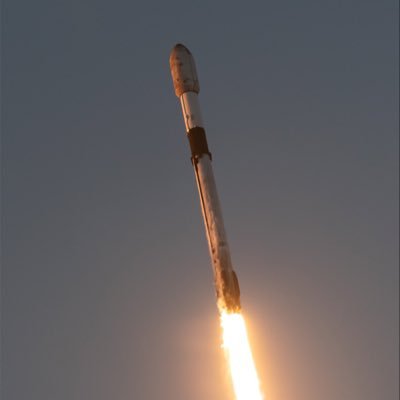 privatchatelon8's profile picture. PRIVATECHAT...CEO SpaceX🚀 & Tesla 🚘 Founder - The Boring Company 🛣️ Co-founder - Neutralink | OpenAI🤖