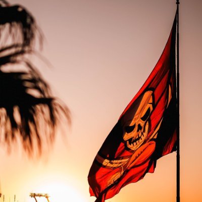 Palm_TreePirate's profile picture. 