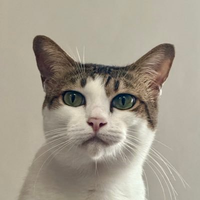 amhsrwm's profile picture. 