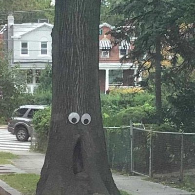 TreeObsechennnz's profile picture. ------------