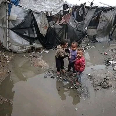 koki98391023617's profile picture. I ask for support for my family. I live in Gaza in an abandoned and destroyed house. I need milk for my children due to malnutrition and diseases, and I need tr