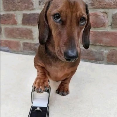 ellenviere's profile picture. 